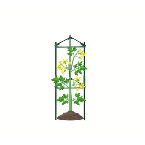 tomatenkäfig Tomatenkäfigfüße, Pflanzenstütze, montierte Gartenkäfige, Pfähle, Gemüsegitter(31.5inch(80cm)) von KJBDQQH