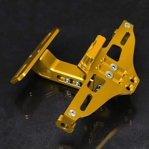Motorrad Hinten Lizenz Nummer Platte Halterung Mit Licht Für Suzuki GSX 1250F GSX1250F SA ABS 2010-2016 2015 2014(Gold) von KJCDSLFCSD