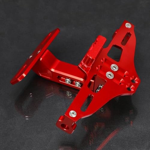 Motorrad Hinten Lizenz Nummer Platte Halterung Mit Licht Für Suzuki GSX 1250F GSX1250F SA ABS 2010-2016 2015 2014(Rot) von KJCDSLFCSD