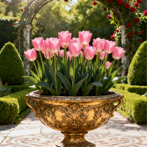 KJERTIZCVB Seltene Tulpen/winterharte mehrjährige Gartendekoration/Balkonblumenspiegel gestalten-15 PCS-D KJERTIZCVB Seltene Tulpen/winterharte mehrjährige Gartendekoration/Balkonblumenspiegel gestalten-15 PCS-D von KJERTIZCVB