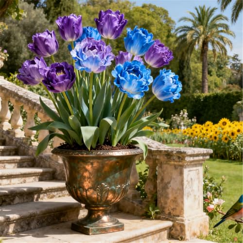 KJERTIZCVB Seltene Tulpen/winterharte mehrjährige Gartendekoration/Balkonblumenspiegel gestalten-4 PCS-A KJERTIZCVB Seltene Tulpen/winterharte mehrjährige Gartendekoration/Balkonblumenspiegel gestalten-4 PCS-A von KJERTIZCVB