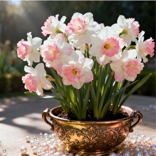 Seltene Narzissen/Stark duftend/Winterharte Narzissen/Zimmerdeko/Schnittblumen/Blumenarrangements/Pflegeleicht-4 PCS-C Seltene Narzissen/Stark duftend/Winterharte Narzissen/Zimmerdeko/Schnittblumen/Blumenarrangements/Pflegeleicht-4 PCS-C von KJERTIZCVB