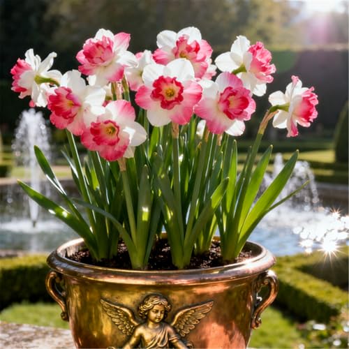 Seltene Narzissen/Stark duftend/Winterharte Narzissen/Zimmerdeko/Schnittblumen/Blumenarrangements-2 PCS-B Seltene Narzissen/Stark duftend/Winterharte Narzissen/Zimmerdeko/Schnittblumen/Blumenarrangements-2 PCS-B von KJERTIZCVB