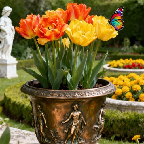 Seltene Tulpen/Tulipa/winterharte mehrjährige Gartendekoration/frühfrühlingsblühend-15 PCS-I Seltene Tulpen/Tulipa/winterharte mehrjährige Gartendekoration/frühfrühlingsblühend-15 PCS-I von KJERTIZCVB