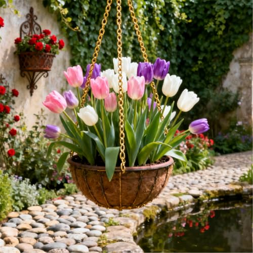 Seltene Tulpen/Tulipa/winterharte mehrjährige Gartendekoration/frühfrühlingsblühend-6 PCS-B Seltene Tulpen/Tulipa/winterharte mehrjährige Gartendekoration/frühfrühlingsblühend-6 PCS-B von KJERTIZCVB