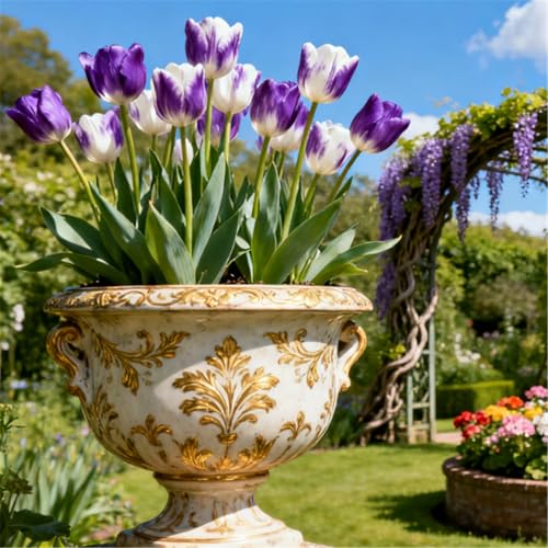 Seltene Tulpen/Tulipa/winterharte mehrjährige Gartendekoration/frühfrühlingsblühend-8 PCS-A Seltene Tulpen/Tulipa/winterharte mehrjährige Gartendekoration/frühfrühlingsblühend-8 PCS-A von KJERTIZCVB