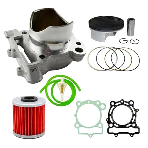 Dichtungssatz Motorrad 77mm Zylinderkolben Und Dichtungssatz Ölleitung Und Ölfilter Kraftstofffilter Für Für KXF250 2009-2016(Style 1) von KJHOPY