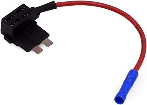 KJJFIPCXP 2PCS Micro/MINI/Standard -Adapter -Mikro -Mini -Standard -Sicherungsklinge Auto -Sicherung mit 3a-40a Blattauto -Sicherung mit Halter(Standard,40A) von KJJFIPCXP