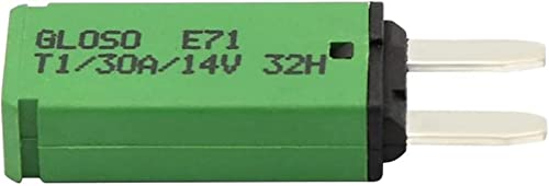 KJJFIPCXP DC 14V 5A 7.5a 10a 15a 20a 30a Automatischer Zurücksetzen Geldautomat Leistungsschalterklinge Sicherung for Auto -LKW -Boot Marine Auto(Green) von KJJFIPCXP