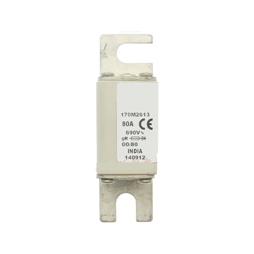 Sicherung 170M2610 170M2611 170M2612 170M2613 170M2614 690V(170M2613) von KJJFIPCXP