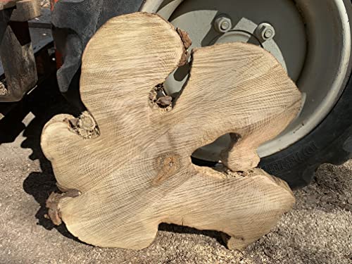 Baumscheibe, Holzscheibe, Baumscheibe, ca. 60x5 cm Robinie Tischplatte von KJR Holzmanufaktur