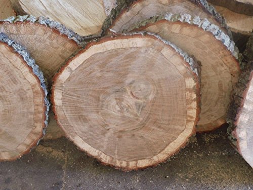 KJR Holzmanufaktur Baumscheibe, Holzscheibe,ca. 25 x 3 cm, basteln, Holz,Eiche von KJR Holzmanufaktur