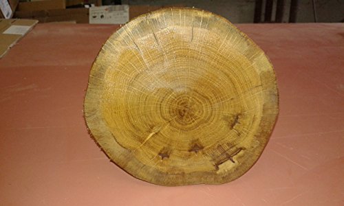 KJR Holzmanufaktur Baumscheibe, Holzscheibe,ca. 30x10 cm, basteln, Holz,Eiche, geschliffen, geölt von KJR Holzmanufaktur