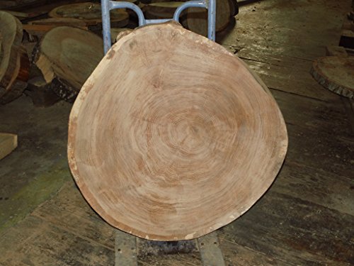 KJR Holzmanufaktur Baumscheibe, Holzscheibe,ca. 70x5 cm, Tischplatte, Eiche, geschliffen von KJR Holzmanufaktur