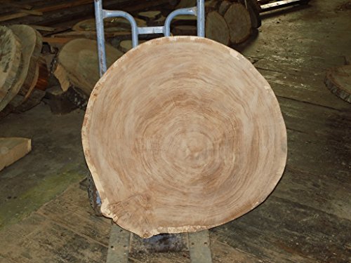 KJR Holzmanufaktur Baumscheibe, Holzscheibe,ca. 80x5 cm, Tischplatte, Eiche, Nicht geschliffen von KJR Holzmanufaktur