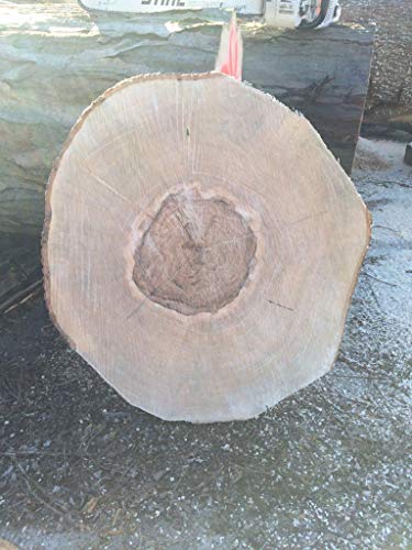 KJR Holzmanufaktur Baumscheibe, Holzscheibe,ca.60-65x5 cm, basteln, Holz, von KJR Holzmanufaktur