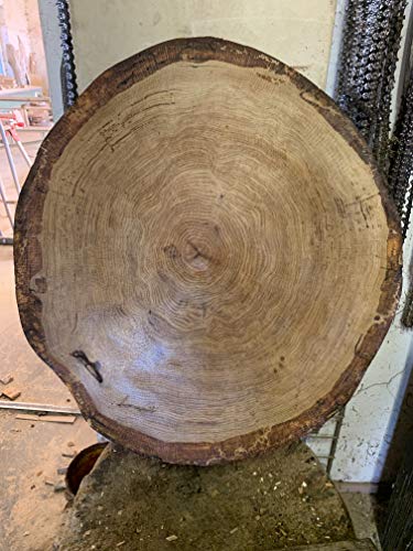 KJR Holzmanufaktur Baumscheibe, Holzscheibe,ca.60x10 cm, Tischplatte, Eiche, geschliffen, geölt von KJR Holzmanufaktur