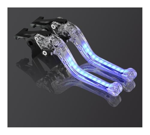 KJUHBVDF Motorrad Brake Clutch Levers Motorrad Licht-up Einstellbare Bremse Kupplung Hebel Griff Signal Blinker ABS Griffe Für G310R G310GS 2017-2024 von KJUHBVDF