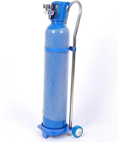KJoBDwz Gasflaschenhalter 10 15 20 L Edelstahl-Gasflaschen-Festgestell mit Rädern, tragbarer Flaschenwagen for den Privatgebrauch for die Industrie(10L - 31.5 inch) von KJoBDwz