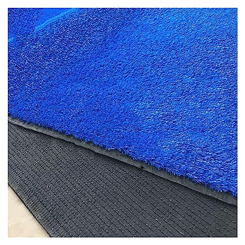 KJoBDwz Kunstrasen, Landschaft, Kunstrasenmatte, Fitnessstudio, Spielplatz, Kunstrasenteppich mit Drainagelöchern, Rasenteppich (150 x 200 cm) von KJoBDwz