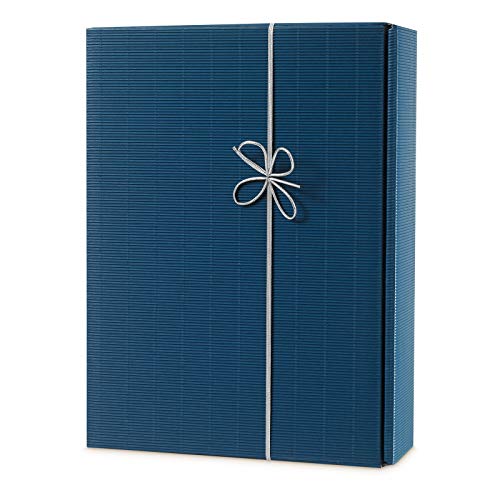 KK Verpackungen 100 x Fertigschleife Geschenkschleife 50-100 cm Silber von KK Verpackungen