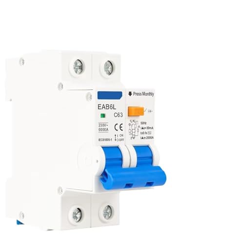 2P AC 230V MCB RCBO RCCB RCD Leakage Current Overload Short Circuit Protection 30ma Residual Current Circuit Breaker Switch(50A) von KKDDIHMTR
