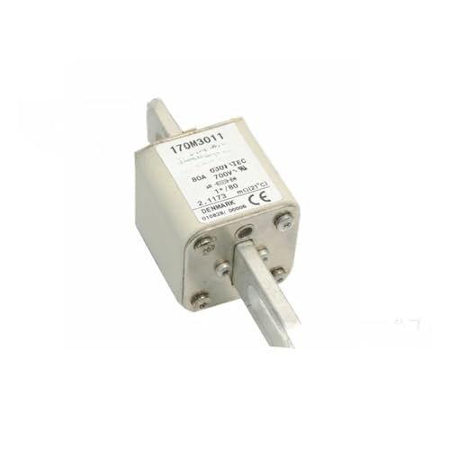 170M3010 170M3060 170M3160 170M3210 Sicherung(170M3060) von KKHCMZPI
