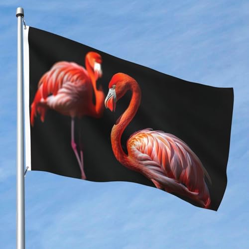15,7 x 2,4 m große Flagge, doppelseitig, lebendige Gartenflaggen, Flamingos auf schwarzem Hintergrund, Banner, Willkommensbanner mit Messingösen, Dekoration, Fotohintergrund für Hof, Veranda, Rasen 15,7 x 2,4 m große Flagge, doppelseitig, lebendige Gartenflaggen, Flamingos auf schwarzem Hintergrund, Banner, Willkommensbanner mit Messingösen, Dekoration, Fotohintergrund für Hof, Veranda, Rasen von KKLWEGU