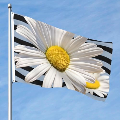 15,7 x 2,4 m große Flagge, doppelseitig, lebendige Gartenflaggen, Gänseblümchen, Banner, Willkommensbanner mit Messingösen, Dekoration, Fotohintergrund für Hof, Veranda, Rasen 15,7 x 2,4 m große Flagge, doppelseitig, lebendige Gartenflaggen, Gänseblümchen, Banner, Willkommensbanner mit Messingösen, Dekoration, Fotohintergrund für Hof, Veranda, Rasen von KKLWEGU