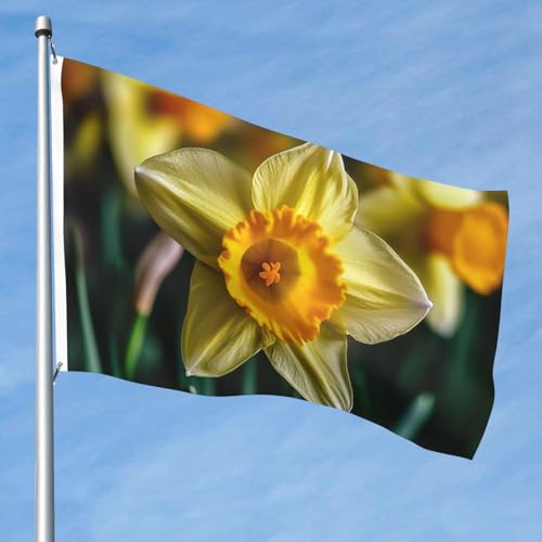 15,7 x 2,4 m große Flagge, doppelseitige lebendige Gartenflaggen, Narzissen-Blumen-Banner, Willkommensbanner mit Messingösen, Dekoration, Fotohintergrund für Hof, Veranda, Rasen von KKLWEGU