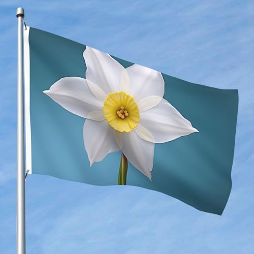 15,7 x 2,4 m große Flagge, doppelseitige lebendige Gartenflaggen, weiße Narzissen-Banner, Willkommensbanner mit Messingösen, Dekoration, Fotohintergrund für Hof, Veranda, Rasen 15,7 x 2,4 m große Flagge, doppelseitige lebendige Gartenflaggen, weiße Narzissen-Banner, Willkommensbanner mit Messingösen, Dekoration, Fotohintergrund für Hof, Veranda, Rasen von KKLWEGU