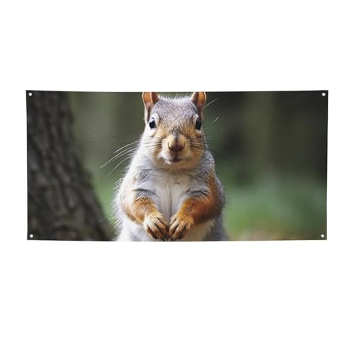 Kreatives Deko-Banner, Wandbehang, Banner, Eichhörnchen, großes Party-Banner, Schild, Poster, Party-Hintergründe für Neujahr, Abschlussfeier, Hochzeit, Geburtstag, Party, Fotografie, klein Kreatives Deko-Banner, Wandbehang, Banner, Eichhörnchen, großes Party-Banner, Schild, Poster, Party-Hintergründe für Neujahr, Abschlussfeier, Hochzeit, Geburtstag, Party, Fotografie, klein von KKLWEGU