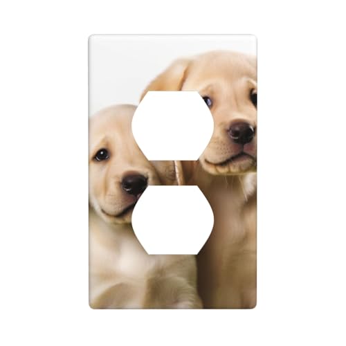 Lustige Labrador-Welpen-Wandplatten, 1-Gang-Duplex-Lichtschalter-Abdeckplatte, elektrische Wandplatten, Steckdosenabdeckungen, dekorative Steckdosenabdeckungen für Heimdekoration von KKLWEGU