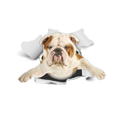 KLDGQ 30 * 30 cm 2 Stück Breaking Wall Puppy Selbstklebende Toilettendeckelaufkleber Lustige wasserdichte Toilettensitzaufkleber aus PVC für Deckelwandaufkleber von KLDGQ
