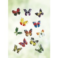 3D-Fenster-Schmetterlinge, 12er-Set von KLINGEL DE