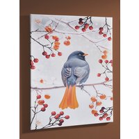 Bild Vogel des Jahres 2025 Hausrotschwanz auf Leinwand von KLINGEL DE