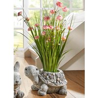 Grasbund in Topf aus Magnesia Grasbund in Topf aus Magnesia von KLINGEL DE