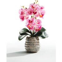 Orchideen-Gesteck im Topf Orchideen-Gesteck im Topf von KLINGEL DE