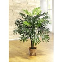 Palme im Topf Palme im Topf von KLINGEL DE