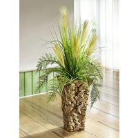 Riedgras im Topf Riedgras im Topf von KLINGEL DE