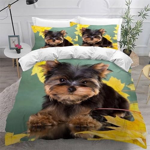 KLJFIGUT Bettwäsche 135x200 Hund 3 Teilig Bettbezug mit Reißverschluss, Weiche Mikrofaser Bettwäsche-Sets für Kinder - 1 Bettbezüge und 2 Kissenbezug 80x80cm KLJFIGUT Bettwäsche 135x200 Hund 3 Teilig Bettbezug mit Reißverschluss, Weiche Mikrofaser Bettwäsche-Sets für Kinder - 1 Bettbezüge und 2 Kissenbezug 80x80cm von KLJFIGUT