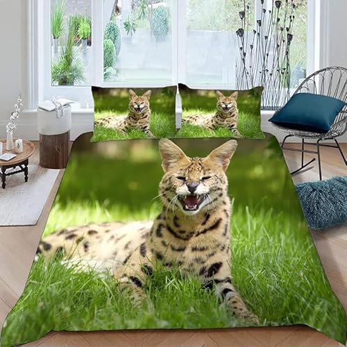 KLJFIGUT Bettwäsche 135x200 Luchs 3 Teilig Bettbezug mit Reißverschluss, Weiche Mikrofaser Bettwäsche-Sets für Kinder - 1 Bettbezüge und 2 Kissenbezug 80x80cm KLJFIGUT Bettwäsche 135x200 Luchs 3 Teilig Bettbezug mit Reißverschluss, Weiche Mikrofaser Bettwäsche-Sets für Kinder - 1 Bettbezüge und 2 Kissenbezug 80x80cm von KLJFIGUT