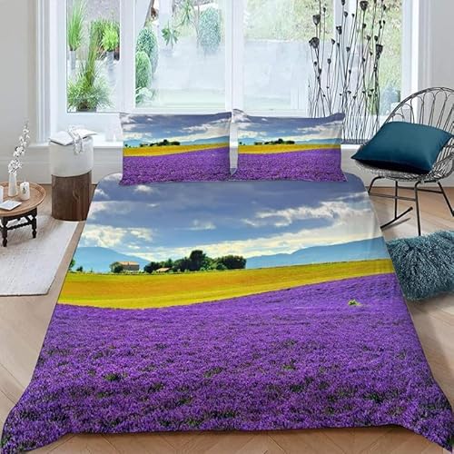 KLJFIGUT Bettwäsche 200x200 Lavendel 3 Teilig Mikrofaser Bettbezug für Kinder Jugendliche - Wendemotiv Bettbezüge mit Reißverschluss + 2 Kissenbezug 80x80 cm KLJFIGUT Bettwäsche 200x200 Lavendel 3 Teilig Mikrofaser Bettbezug für Kinder Jugendliche - Wendemotiv Bettbezüge mit Reißverschluss + 2 Kissenbezug 80x80 cm von KLJFIGUT