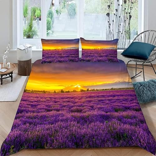 KLJFIGUT Bettwäsche 200x200 Lavendel 3 Teilig Mikrofaser Bettbezug für Kinder Jugendliche - Wendemotiv Bettbezüge mit Reißverschluss + 2 Kissenbezug 80x80 cm von KLJFIGUT