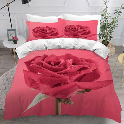 KLJFIGUT Bettwäsche 220x240 Rose Weiche Mikrofaser Bettbezug Set mit Reißverschluss, 1 Bettbezüge mit 2 Kissenbezug 80x80cm, Atmungsaktive Bettwäsche-Sets für Erwachsener von KLJFIGUT