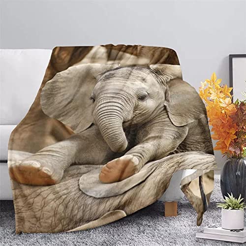 Wohndecken Kuscheldecken Elefant Weiche Flauschige Decke Kinder Mädchen Jungen, Warm Flanell Fleecedecke Wendedecke Wolldecke Sofadecke Wohndecke Couchdecke - 130x150 cm von KLJFIGUT