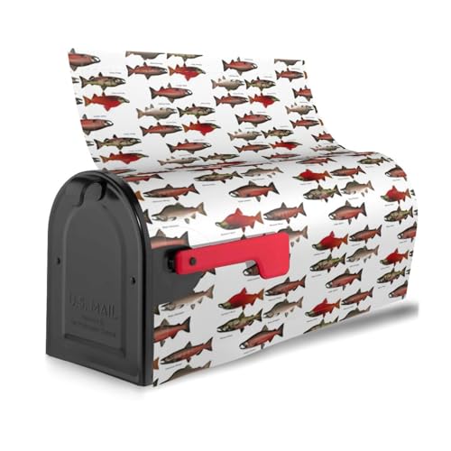 Stilvolle Briefkastenabdeckung, wasserdicht, einfache Installation, passend für jede Jahreszeit, Briefkastenabdeckung Stilvolle Briefkastenabdeckung, wasserdicht, einfache Installation, passend für jede Jahreszeit, Briefkastenabdeckung von KLJnmbb