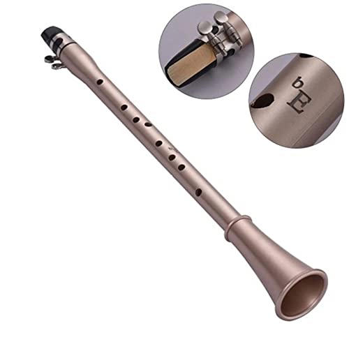 KLKL Saxophone Taschensaxophon Mini tragbar Abs Sax- Schlüssel von CD/Bb/E/f/EB mit Tragetasche Holzwind Instrument für Anfänger anfänger Saxophon (Color : C) von KLKL