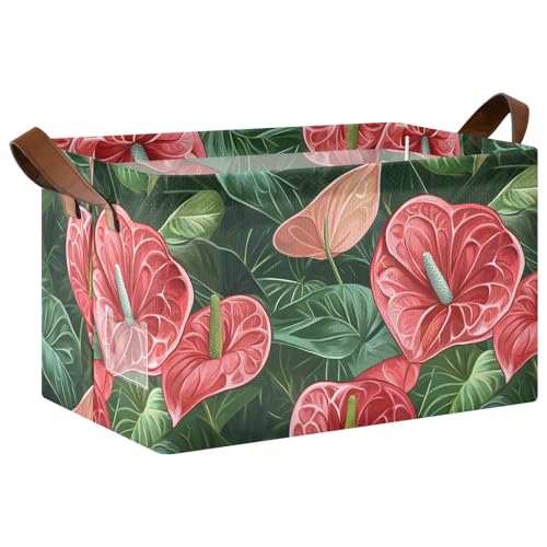 KLL Anthurium Große Aufbewahrungsboxen mit Griffen, faltbar, für Regale, Schrank, Organizer, Regal, Schrank, Bücherregal, 2 Stück KLL Anthurium Große Aufbewahrungsboxen mit Griffen, faltbar, für Regale, Schrank, Organizer, Regal, Schrank, Bücherregal, 2 Stück von KLL