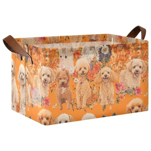 KLL Chic Cute Pudelhunde Orange Große Aufbewahrungsboxen Körbe Aufbewahrungswürfel Korb Behälter mit Griffen Würfelbehälter für Spielzeug, Bücher, Handtücher und Kleidung, 2 Stück KLL Chic Cute Pudelhunde Orange Große Aufbewahrungsboxen Körbe Aufbewahrungswürfel Korb Behälter mit Griffen Würfelbehälter für Spielzeug, Bücher, Handtücher und Kleidung, 2 Stück von KLL
